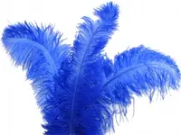 Ostrich Feather<br>Dark Blue