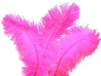 Ostrich Feather<br>Hot Pink