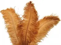 Ostrich Feather<br>Tan