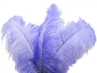 Ostrich Feather<br>Purple