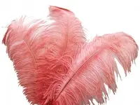 Ostrich Feather<br>Peach