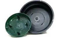 Oasis Bowls<br>Assorted