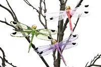 Artificial Dragonfly Small <br>Assorted