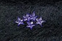 Crystal Star - Purple