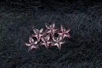Crystal Star - Pink