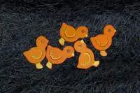 Chicks<br>Orange
