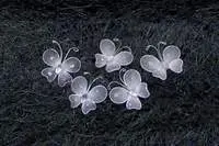 Organza Butterflies - White