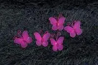 Organza Butterflies - Hot Pink