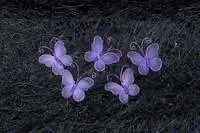 Organza Butterflies - Purple