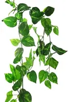 Artificial Pothos Garland