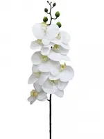 Artificial Phalaenopsis Orchid<br>White