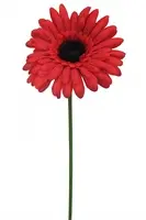 Artificial Gerbera<br>Red