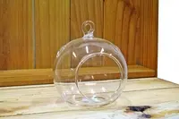 Hanging Sphere Vase