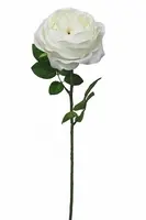 Artificial Austin Rose<br>White