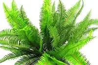 Artificial Mountain Fern Bush<br> 45cm UV Treated