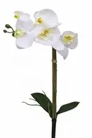 Artificial Phalaenopsis Orchid with Leaf<br>White