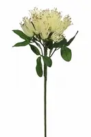 Artificial Protea Wild<br>White/Brown