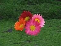 Artificial Gerbera Head