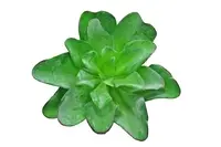 Artificial Echeveria Pick<br>Green