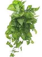 1. Artificial Hanging Syngonium Bush<br>75cm thumbnail