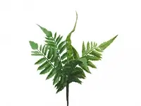 1. Artificial Leather Fern Pick<br>30cm thumbnail