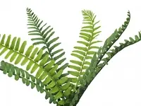 Artificial Boston Fern Bush Pick<br>33cm