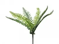 1. Artificial Boston Fern Bush Pick<br>33cm thumbnail