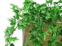 Artificial Hanging Ivy Bush<br>60cm