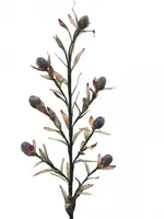 Artificial Star Leucadendron<br>Natural