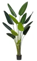 Artificial Bird of Paradise Plant<br>Gloss Leaf - 1.8m