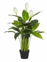 Artificial Spathiphyllum Plant<br>Flowering - 96cm