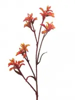 Artificial Kangaroo Paw<br>Orange/Gold