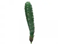 Artificial Finger Cactus<br>15cm