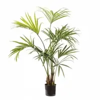 Artificial Kentia Palm <br> 1.5m (182lvs)