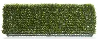 Artificial Boxwood Hedge<br>25cm x 95cm