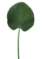 Artificial Fan Palm Leaf<br>77cm