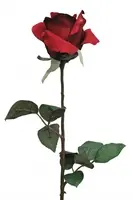 Artificial Ecuador Rose<br>Red