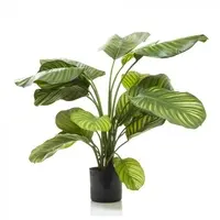 Artificial Calathea Plant <br>65cm