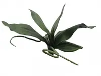 Artificial Phalaenopsis Orchid Leaf<br>32cm
