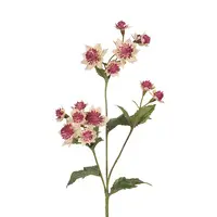 Artificial Astrantia Spray<br>Pink/Green