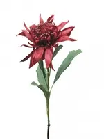 Artificial Waratah<br>Red