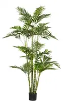 Artificial Cane Palm - 1.8m