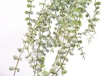 Artificial Hanging Button Fern Vine x 7<br>56cm