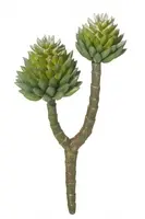 Artificial Crested Succulent Pick<br>18cm