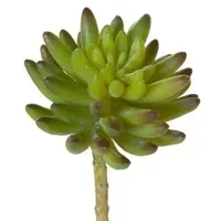 Artificial Jelly Bean Succulent<br>16cm