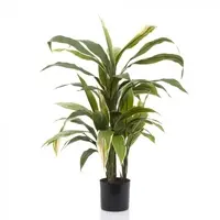 Artificial Cordyline Plant<br>75cm