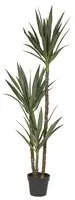 Artificial Yucca Dracaena Tree<br>1.55m Green