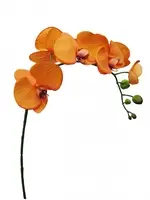 Artificial Phalaenopsis Orchid<br>Orange