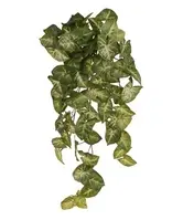Artificial Hanging Syngonium Bush<br>60cm