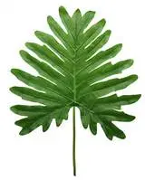 Artificial Aralia Leaf<br>102cm